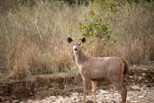 The Crystal Clear Truth: Does Intermittent Fasting Include Drinks?