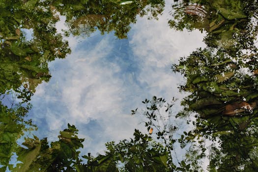 Crafting Your Poolside Paradise: Unforgettable Landscaping Ideas For Pool Surroundings