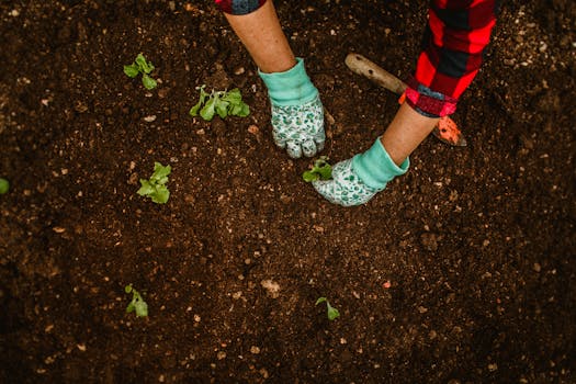 Unearthing the Secret: Your Plants Are Trying to Tell You Something (and It’s About Their Home)