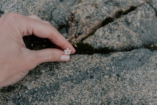 Cultivating a Greener Oasis: Your Essential Tips For Eco-Friendly Garden Design